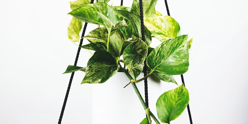 欧洲冠军联赛足球比赛数据分析图表